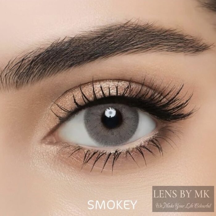 Lensme Smokey Shade