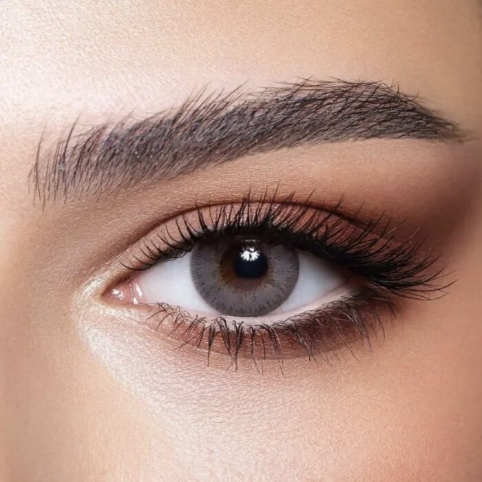 Bella Elite Gray Beige Lenses